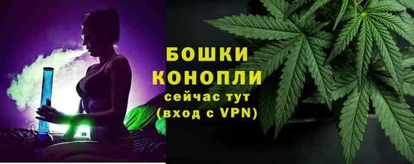 PSILOCYBIN Верхний Тагил